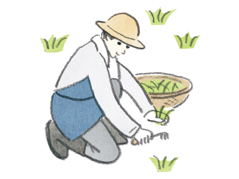 画像: 朝やる家事 03 家の周りの雑草抜き