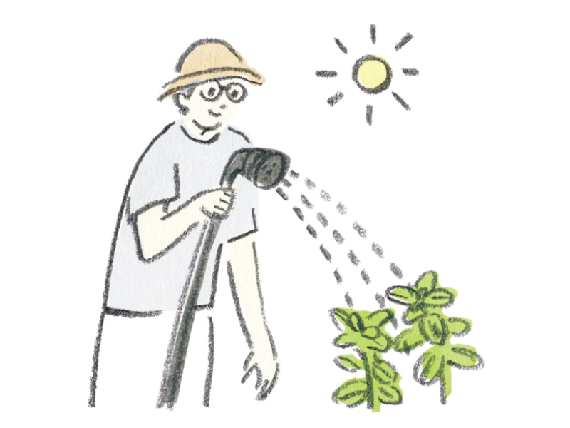 画像: 朝やる家事 02 植物の観察と手入れ