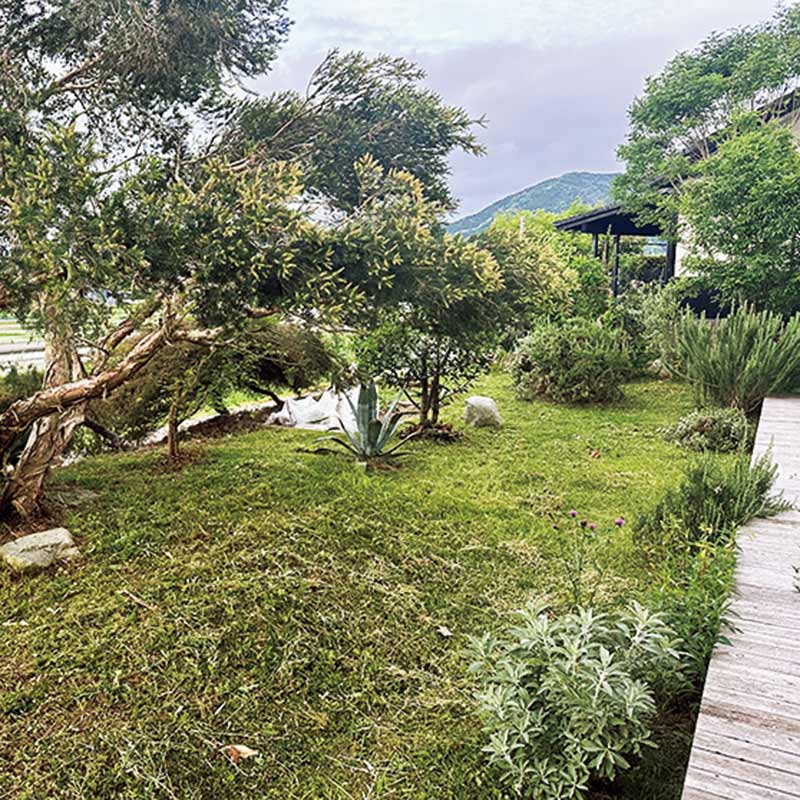 画像: 朝やる家事 01 庭の植物の水やり