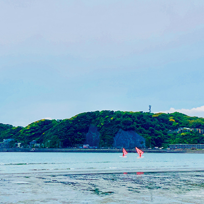 画像: 朝の楽しみ 02 逗子の海を朝散歩