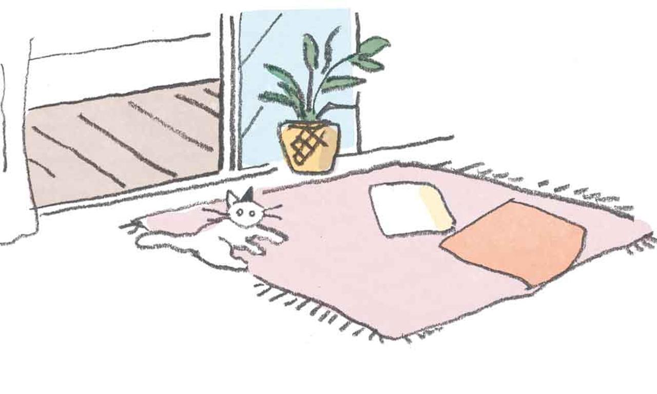 画像: 夏を快適に過ごす「涼しい家」の小さな工夫5つ。照明や家電、寝具の選び方を“見直すだけ”で涼やかに/省エネ住宅専門家・前 真之さん - 天然生活web