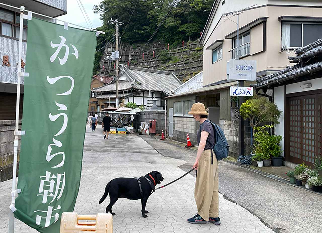 画像: 蒸し暑い曇り空。朝市は事前に犬連れOKと調べておきました