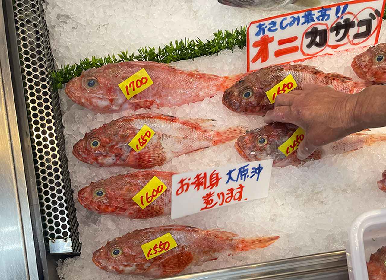 画像2: 地元の人おすすめの魚屋で地物魚介を