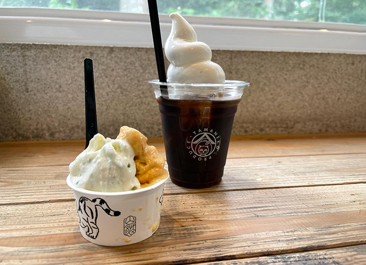 画像: 「山椒ミルクとキャロットケーキのジェラート」とアイスコーヒー