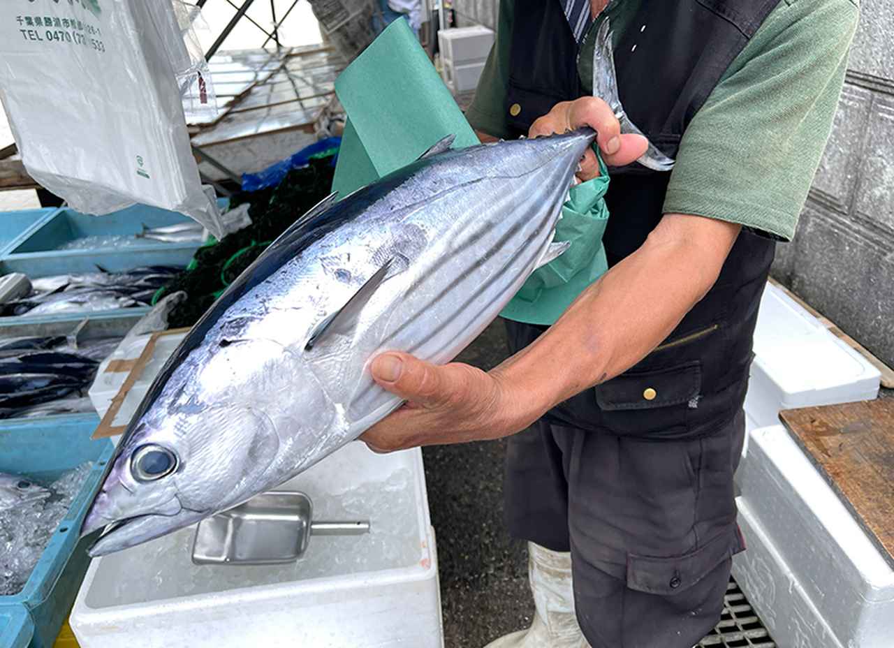 画像1: 獲れたて“かつお”1尾を丸々1本