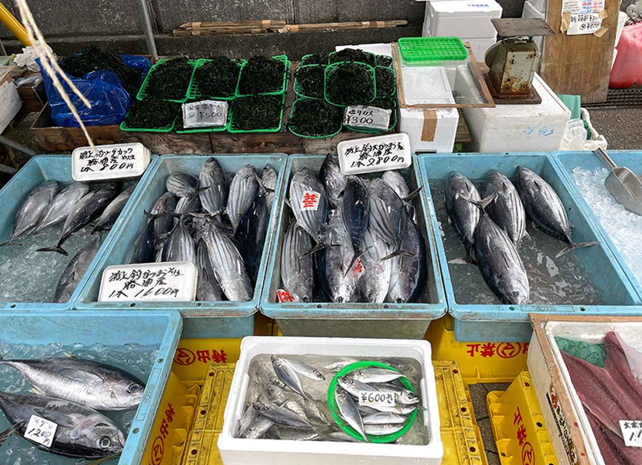 画像: かつおと一緒にまぐろやあじも
