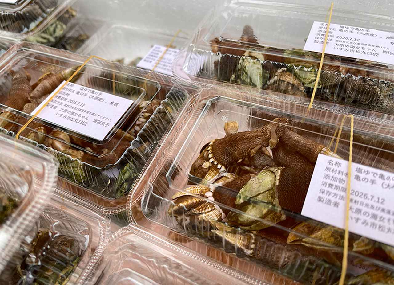 画像: 磯っぽい味わい。ねじって引っ張ると身が出る。食感が貝のようでビールのつまみによさそう