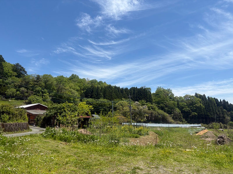 画像: 50代、熊本・阿蘇に移住して始めた「ハーブティー」づくり。産山村は野草やハーブの宝庫!おいしくて“心ときめく”手づくりのある暮らし/asoうぶやまキュッフェ・折居多恵さん - 天然生活web