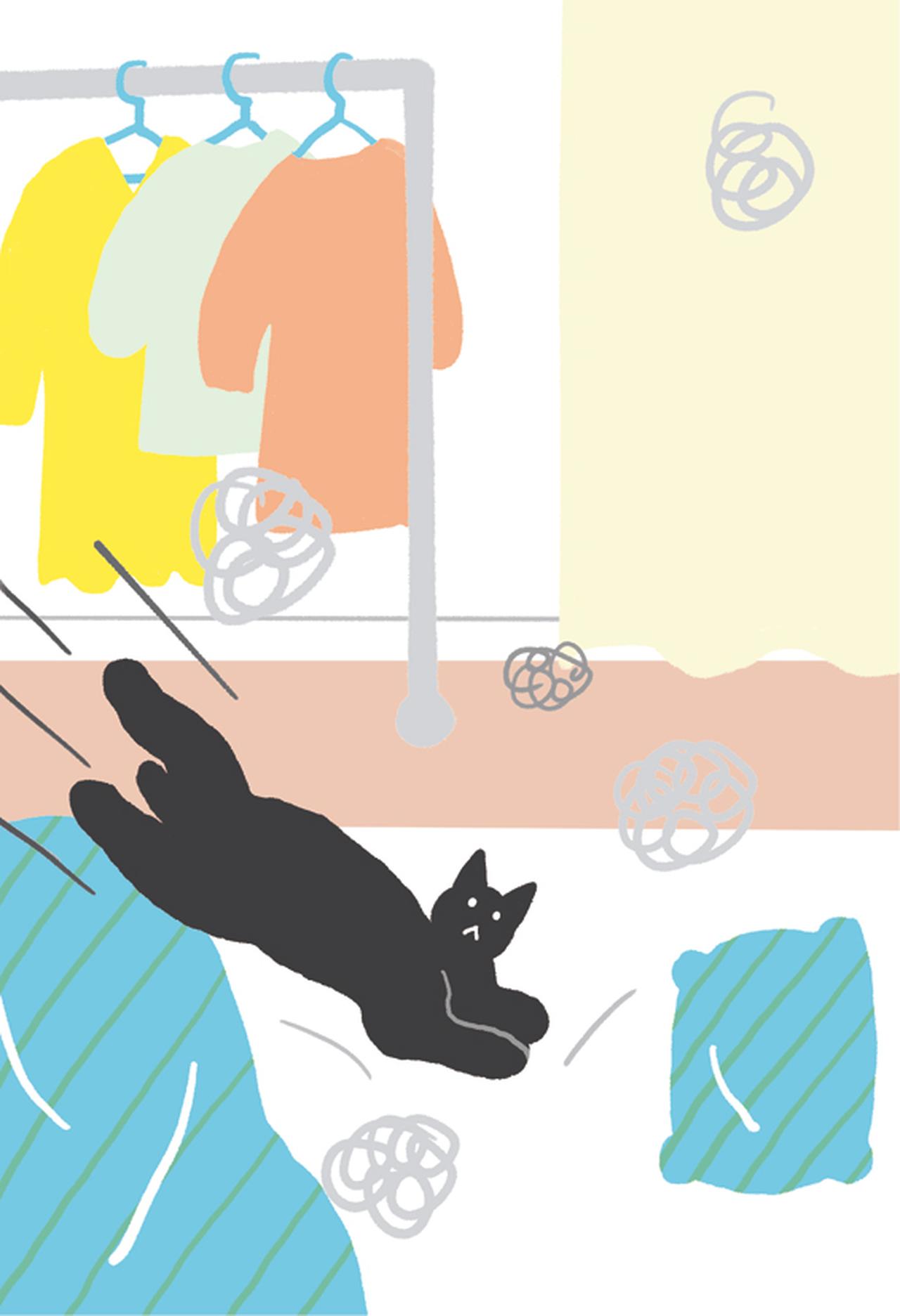 画像: ほこりや泥汚れは水だけでも落とせる