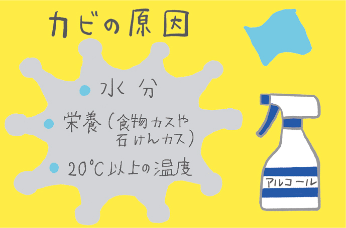 画像: ※すすぎ残した洗剤類がカビの栄養に