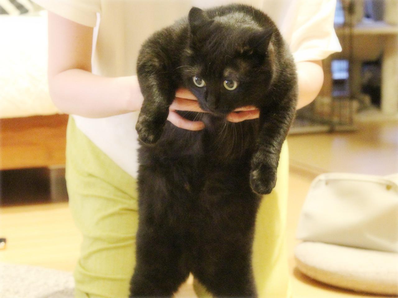 画像: 抱っこは重いのです......