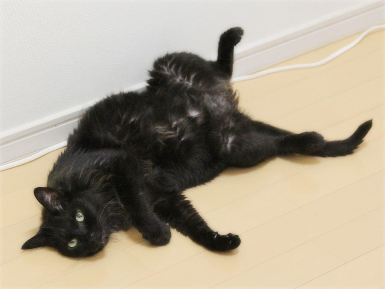 画像: 暑いんでしょう？