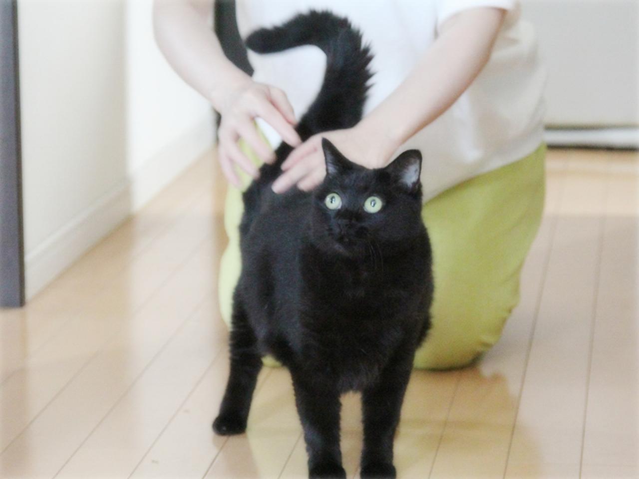 画像: おしりわっしゃわっしゃが大好き