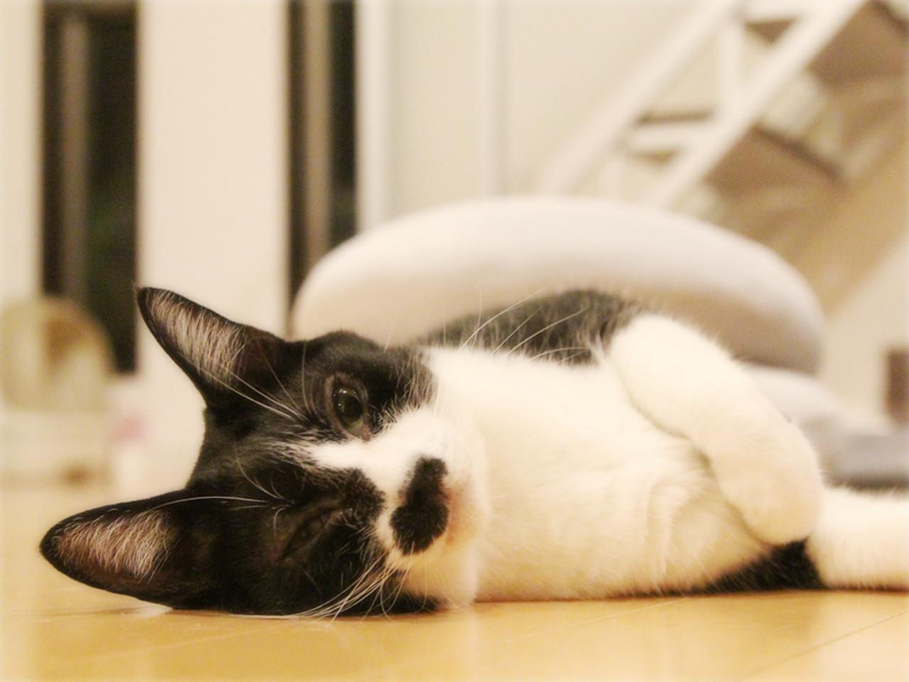 画像: 「今日も暑い一日でした」