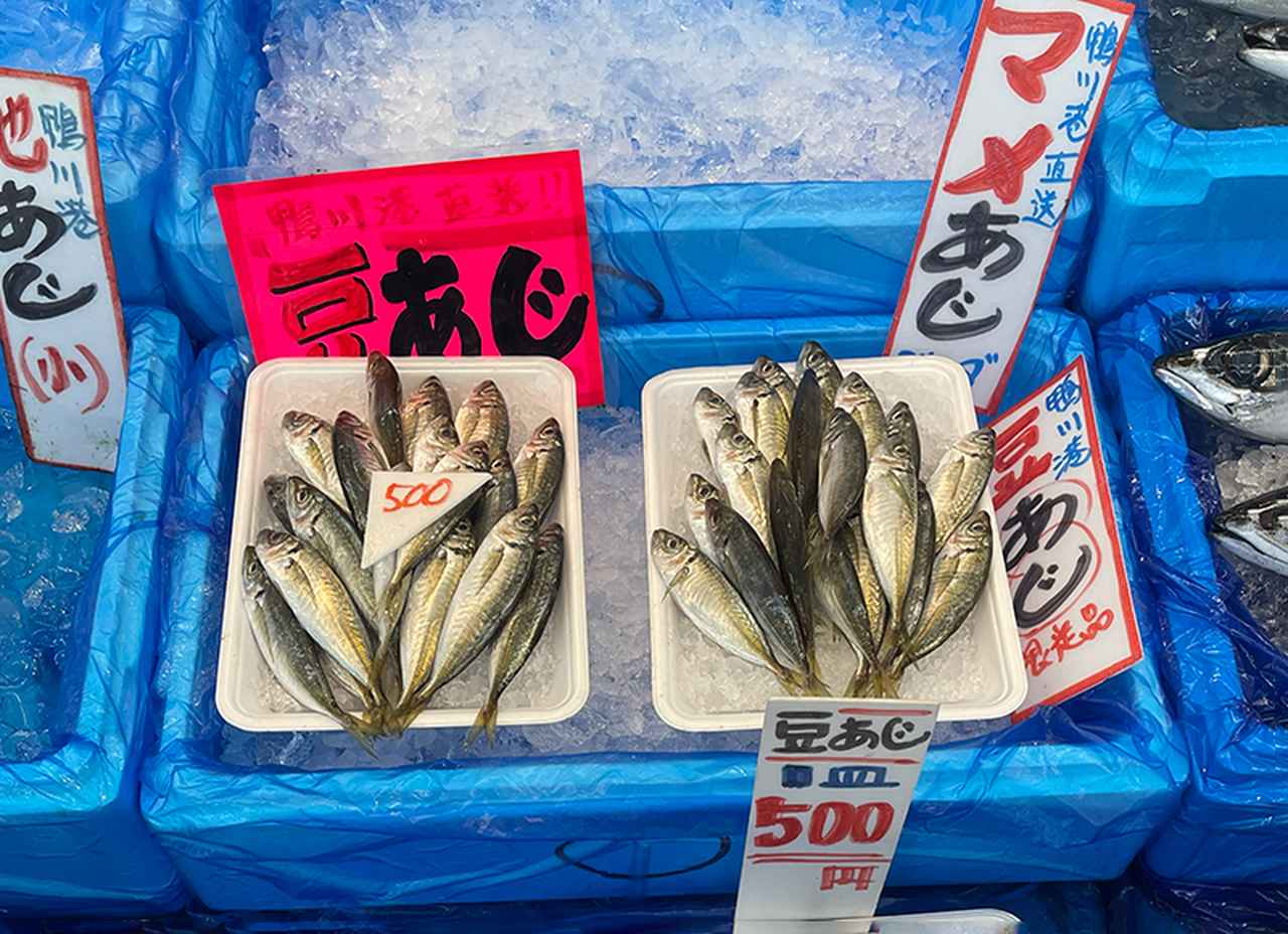 画像3: 地元の人おすすめの魚屋で地物魚介を