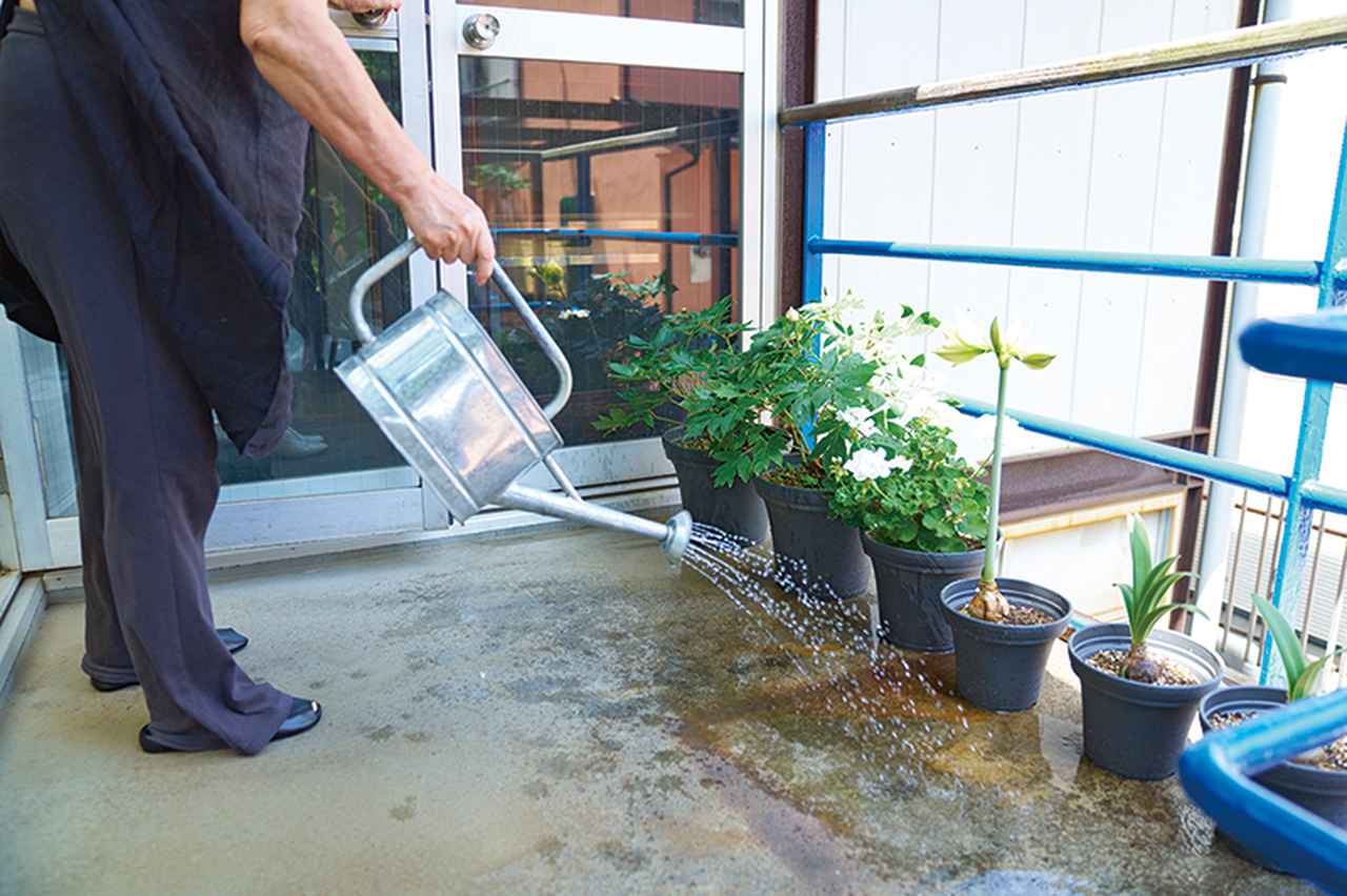 画像: 水やりで打ち水効果