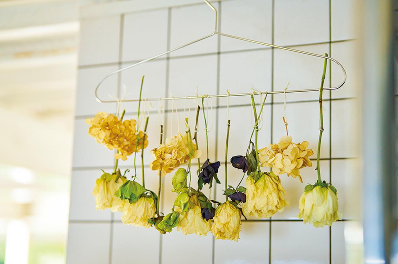 画像: 庭の花をハンガーにかけ、温度が高い冷蔵庫の上に吊るしてドライフラワーづくり