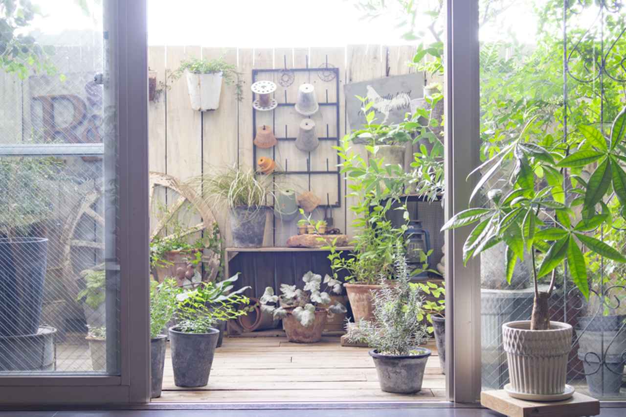 画像: 室内から眺めたベランダ。窓枠を額縁に見立て、奥の板壁や左右の植物が、一枚の絵のように見える配置を意識しています