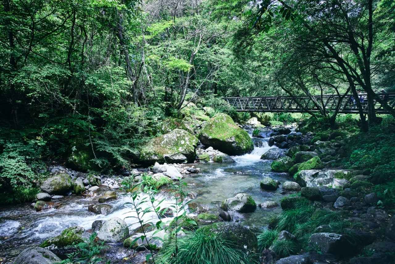 画像3: 夏に楽しむ「山梨・八ヶ岳」の日帰り旅おすすめエリア3つ。緑豊かな避暑地や行列スイーツも！地元民が教える“いやしスポット”／カメラマン・柳原久子さん