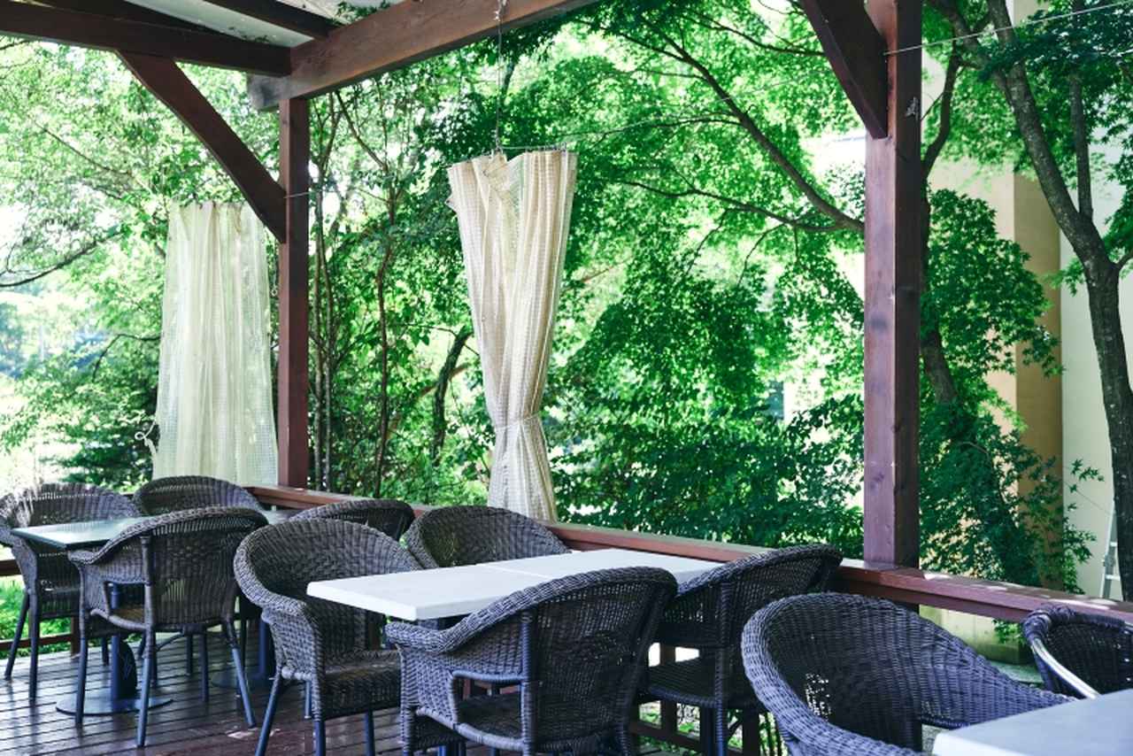 画像7: 夏に楽しむ「山梨・八ヶ岳」の日帰り旅おすすめエリア3つ。緑豊かな避暑地や行列スイーツも!地元民が教える“いやしスポット”/カメラマン・柳原久子さん