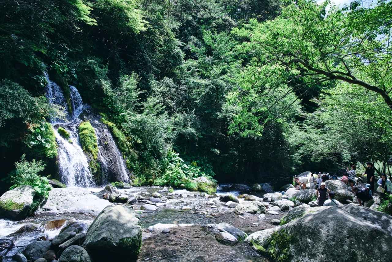 画像: おすすめSPOT１ 水の清涼感に包まれる「吐竜の滝」