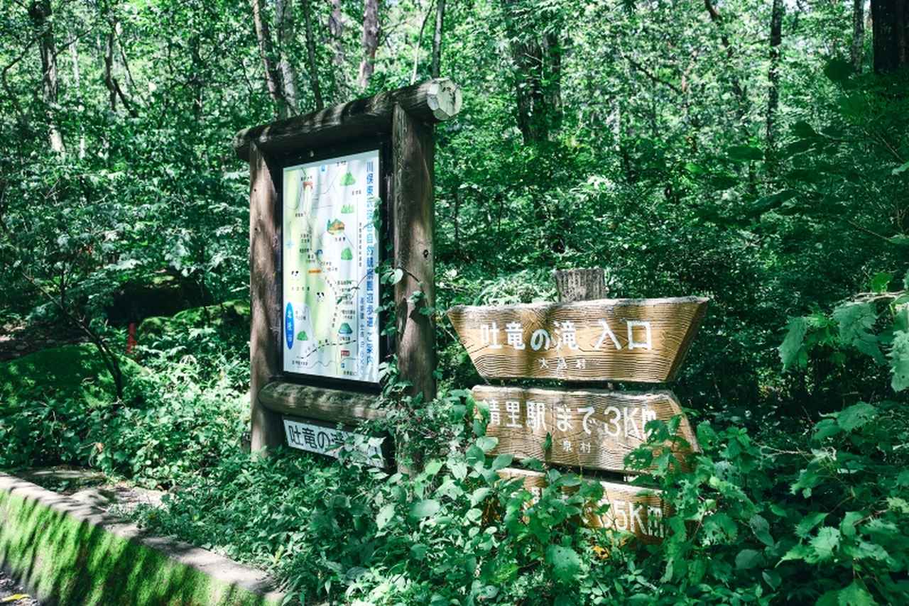 画像1: 夏に楽しむ「山梨・八ヶ岳」の日帰り旅おすすめエリア3つ。緑豊かな避暑地や行列スイーツも！地元民が教える“いやしスポット”／カメラマン・柳原久子さん