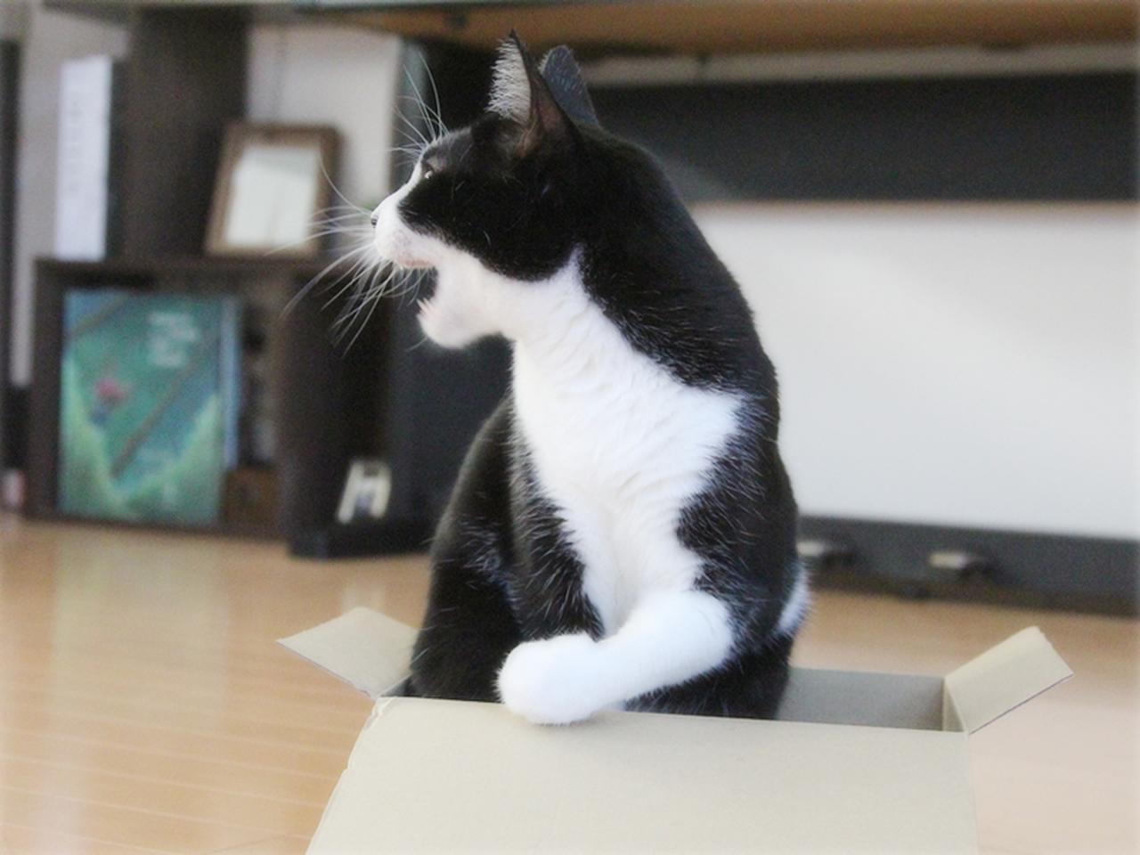画像: 「紙玉投げてー！」