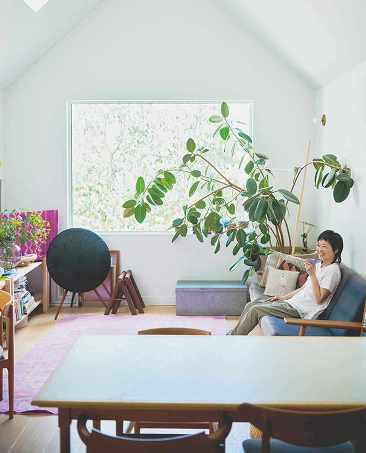 画像: リビングの顔ともいえる大きなゴムの木は生き生き。「観葉植物は育ちすぎていると置ける場所が限られるので売れづらいみたいで、ちょっとお手頃な金額になっていたんです」。置くスペースさえあればおすすめなのだとか