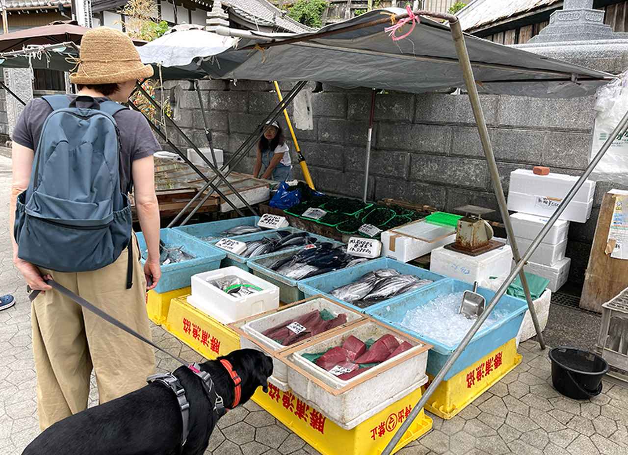 画像: 千葉・外房のおすすめ「とれたて鮮魚」を楽しむ観光スポット2選!かつお1尾を買える‟勝浦朝市”や地元民に人気の魚屋、旅の余韻を楽しむ食卓も/料理研究家・小林まさみ - 天然生活web