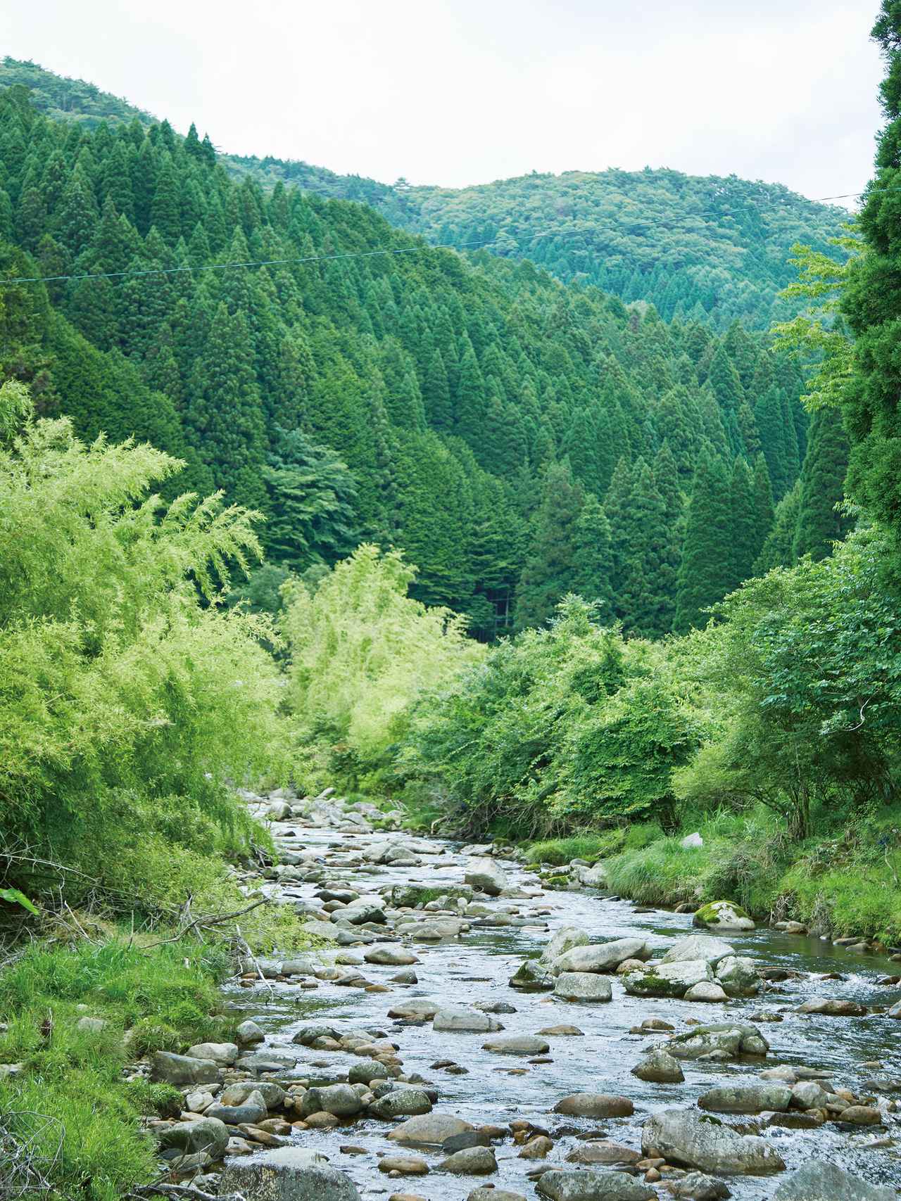 画像: 足助仕込蔵のすぐ横を流れる段戸川。豊富に湧くおいしい水が、ここに醸造所をつくる決め手になった。「蔵を建てた際に水神様を祀り、いまも大切に守っています」