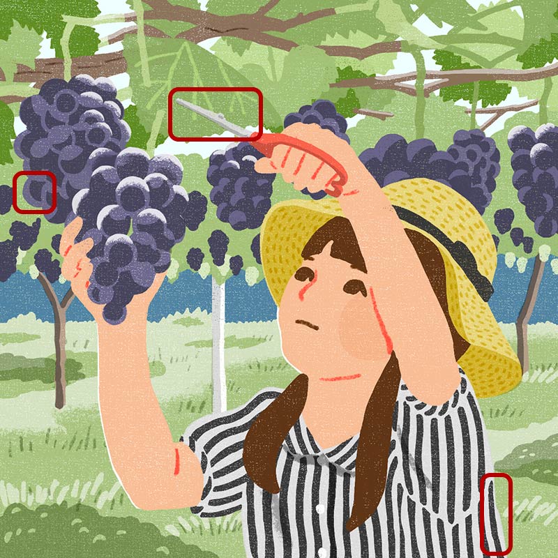 画像3: 3つのまちがいを探してください