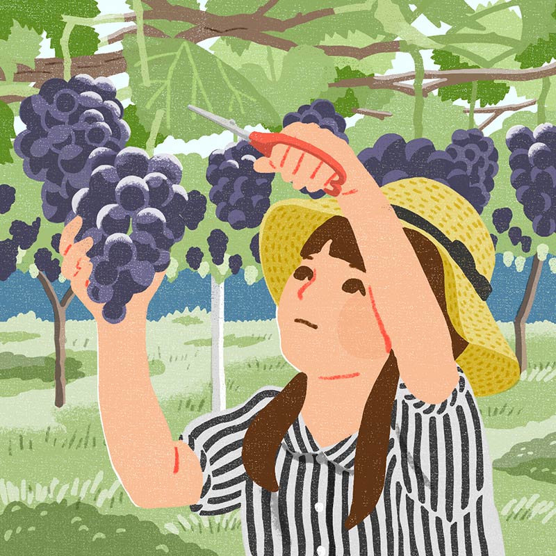 画像2: 3つのまちがいを探してください