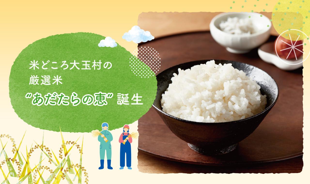 画像: しるみるおおたまライフ