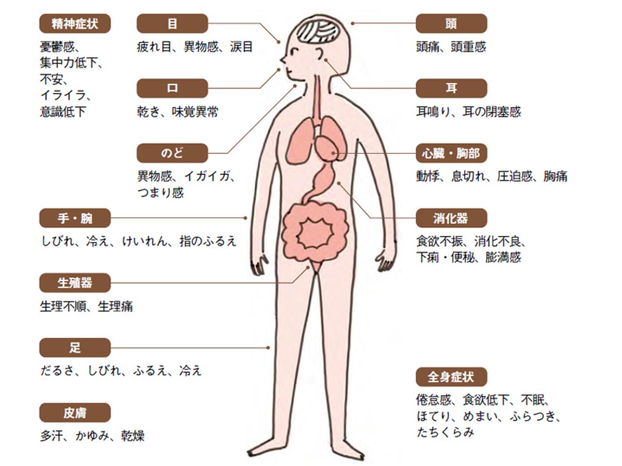 画像: 慢性的な疲れやだるさ、気分の浮き沈みは、自律神経の乱れが原因かも?