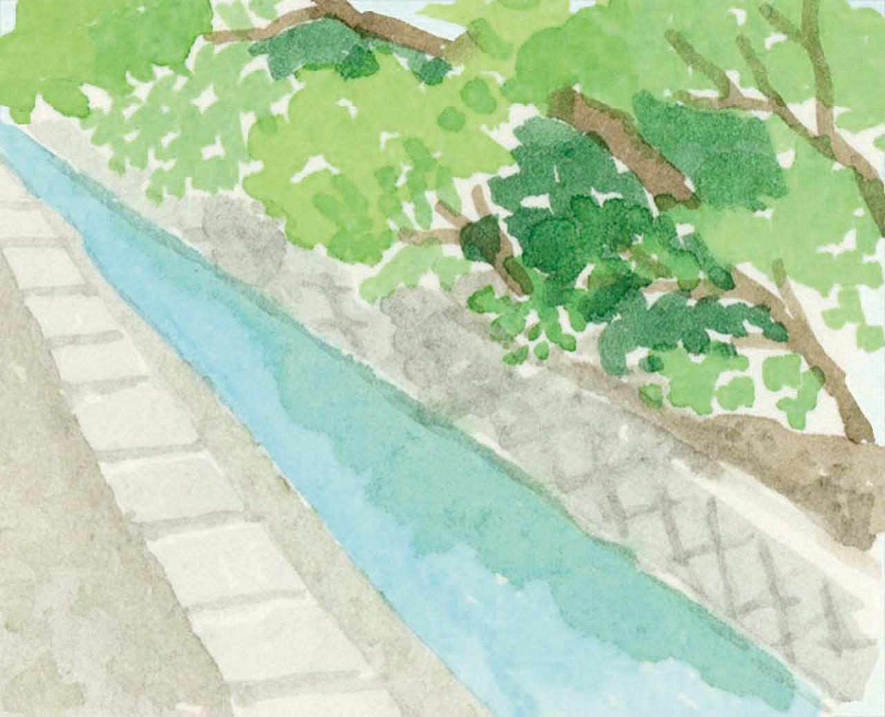 画像: 2日目