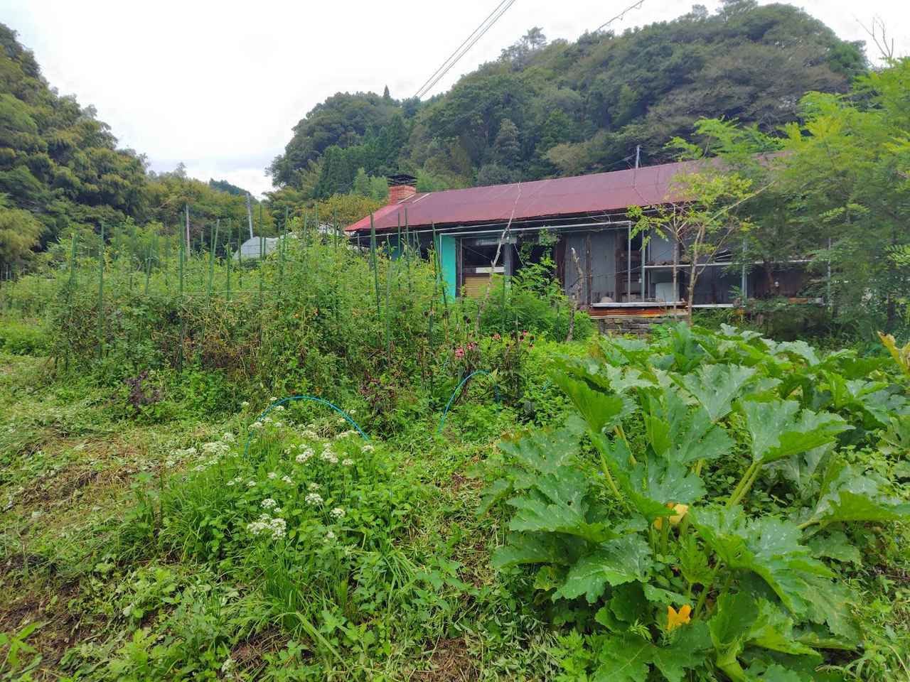 画像1: 喧嘩中でも、おなかは空く。「今日なに食べる？」で始まる夫婦の会話
