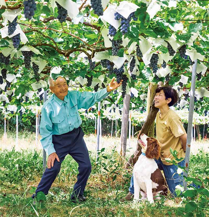 画像: ぶどう農家が醸す 人生を豊かにするワイン