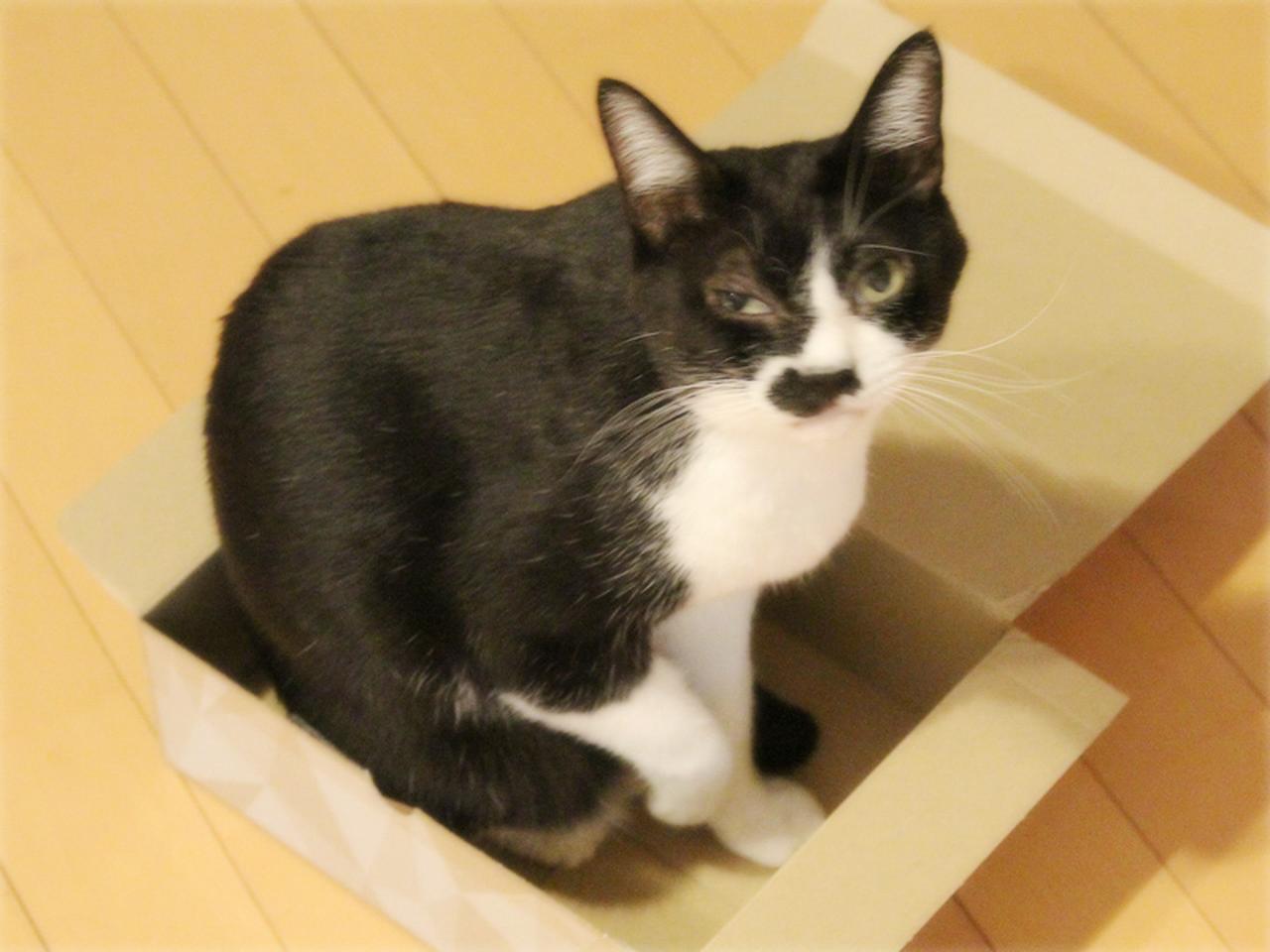 画像: 吐いちゃってしょんぼり