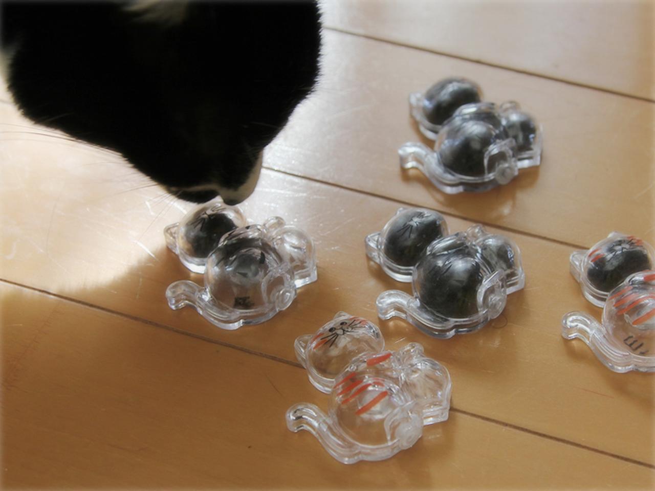 画像: 猫の数だけコレクション