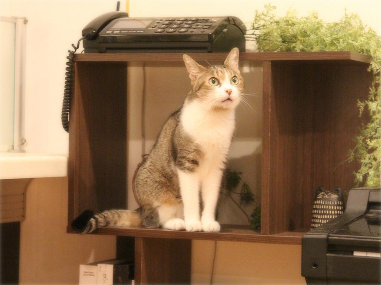 画像: ここに飾っていた時計は落とされました……