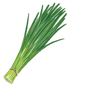 画像2: 薬膳で不調を整える「冷え」におすすめの食材と食べ合わせ。陽虚体質さんは“ニラや干ししょうが”で体ぽかぽか／国際中医薬膳管理師・植木もも子さん