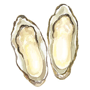 画像3: 薬膳で不調を整える「やせ型」の人におすすめの食材と食べ合わせ。陰虚体質さんは“豆腐や牡蠣”で体に潤いを/国際中医薬膳管理師・植木もも子さん