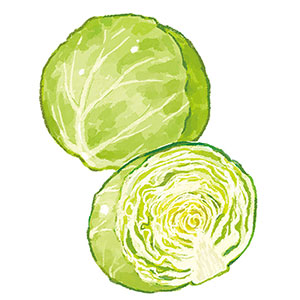 画像1: 薬膳で不調を整える「疲れやすい人」におすすめの食材と食べ合わせ。気虚体質さんは“キャベツや白米”で元気に／国際中医薬膳管理師・植木もも子さん