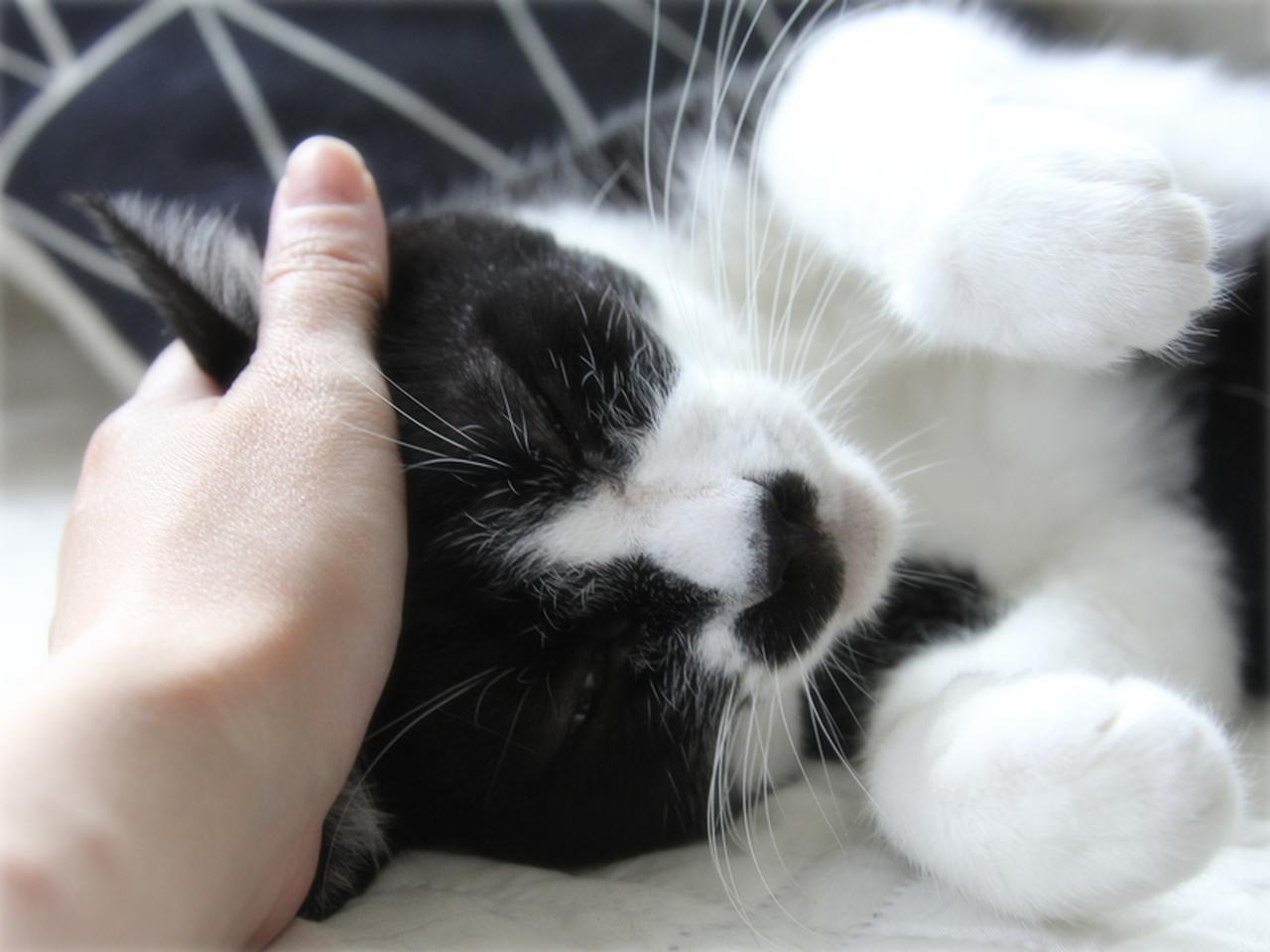 画像: 名前を呼んで、愛してると伝えて……