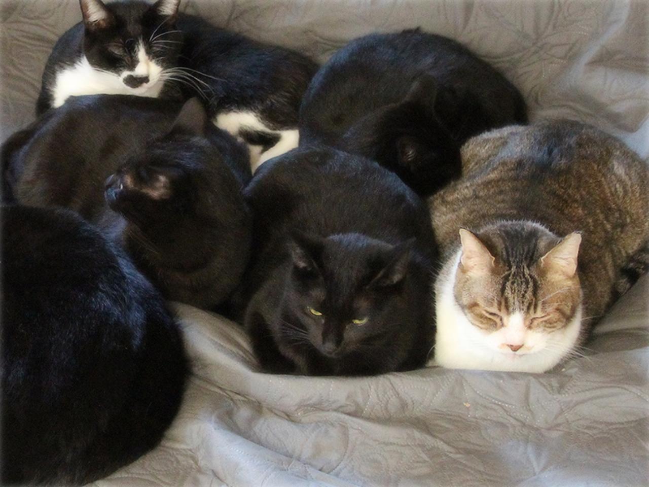 画像: 夫のそばでぎゅうぎゅうに