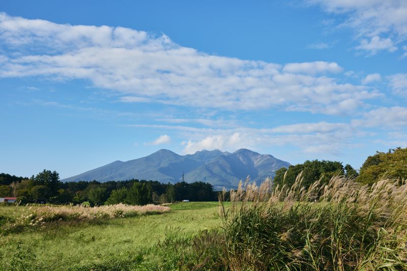 画像: おすすめポイント4 季節ごとに楽しい出合いがあります