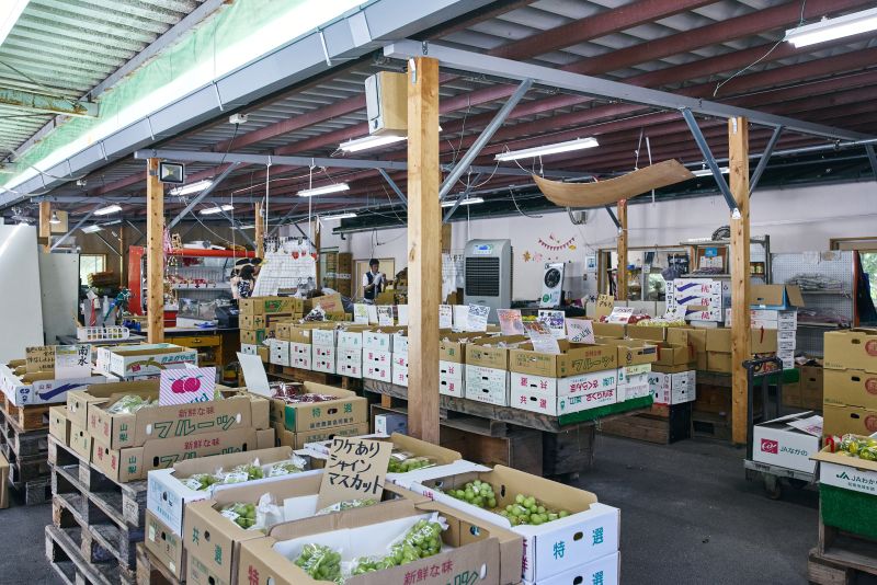 画像: おすすめポイント1 地元ならではの品種もいろいろ