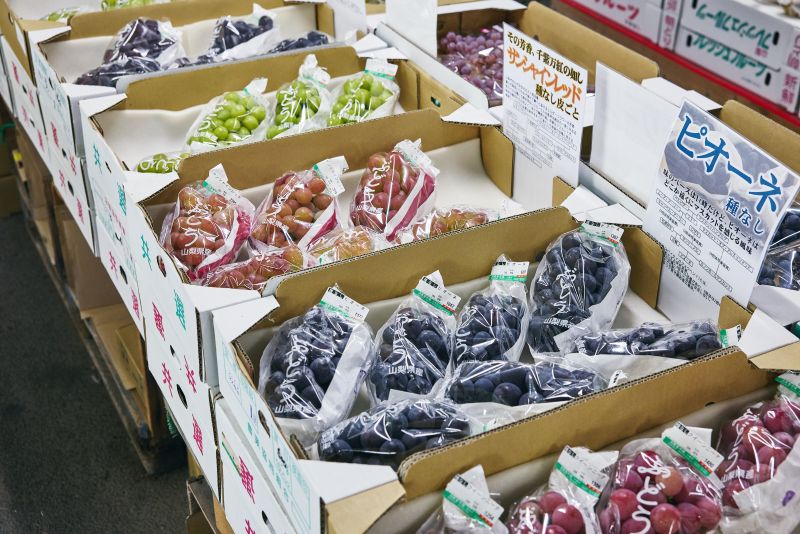 画像: おすすめポイント2 秋には、ぶどうが盛りだくさん