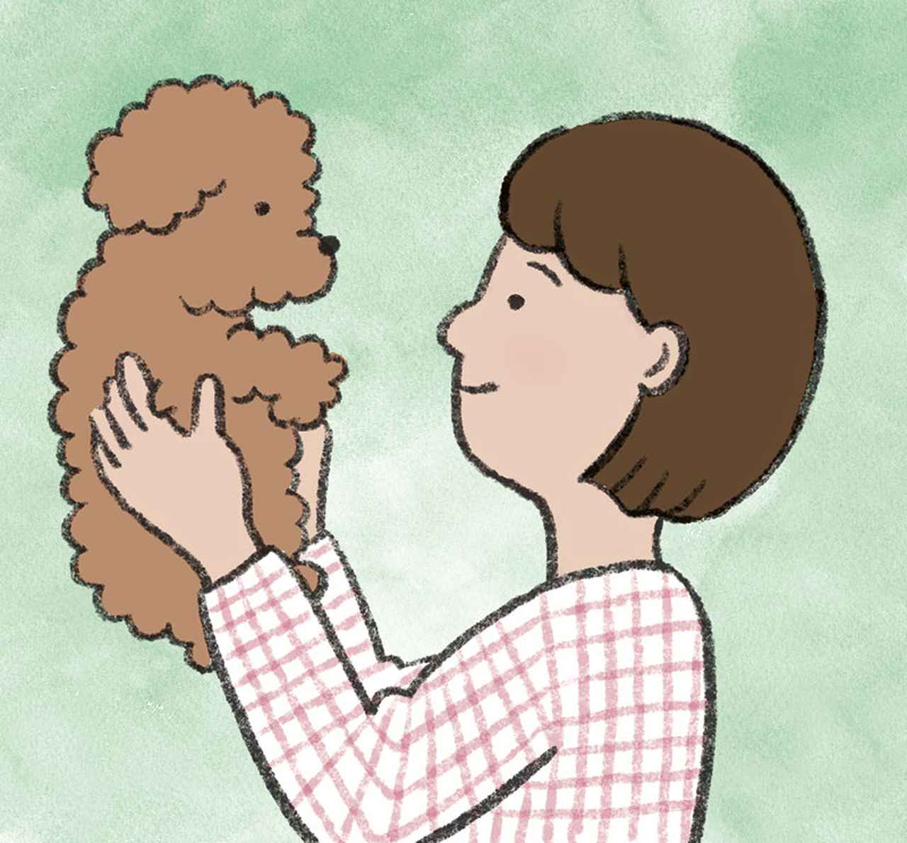 画像: 私は私のままでいい「自己肯定感」を高める4つの習慣。自分の価値を“大切に感じる”ために、いますぐできる行動と心がけ/心理カウンセラー・中島輝さん - 天然生活web