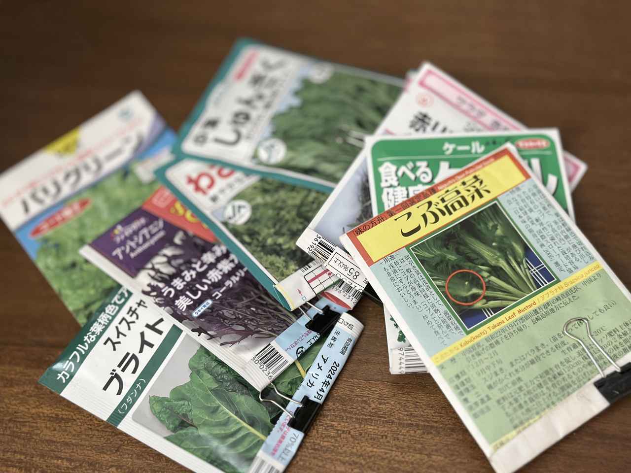 画像: さっそく、種をまきましょう